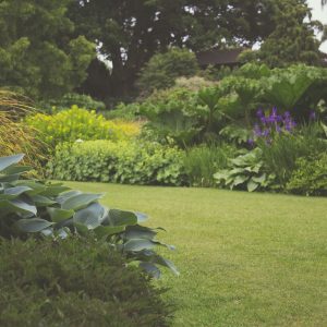 Ornamental Moss Retaining Walls