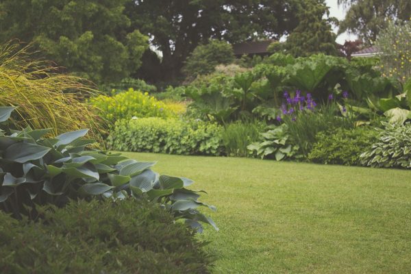 Ornamental Moss Retaining Walls